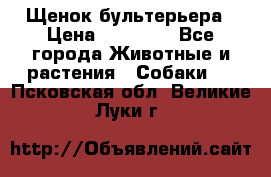 Щенок бультерьера › Цена ­ 35 000 - Все города Животные и растения » Собаки   . Псковская обл.,Великие Луки г.